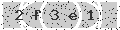 verify code